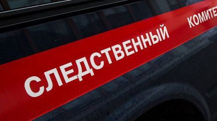 Рухнувшими с 13 этажа кирпичами убило двух мужчин в Воронеже