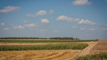 Тело воронежца нашли в селе Липецкой области