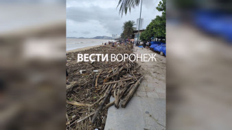 «Число погибших выросло до 90». Воронежец рассказал о наводнении во вьетнамском Нячанге