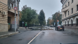 Упавшее дерево заблокировало половину дороги в центре Воронежа 