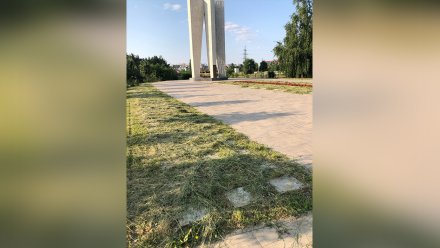 Воронежские активисты пожаловались на запустение «Песчаного лога»