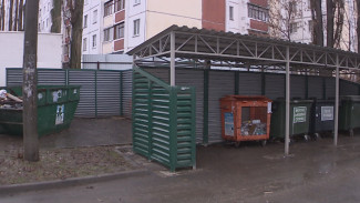 В Воронеже забуксовал процесс раздельного вывоза отходов