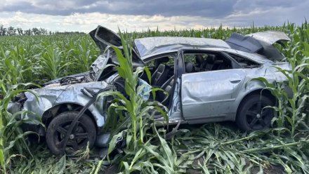 Audi вылетела с дороги в Лискинском районе: есть погибший и пострадавший