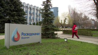 РВК попросил дополнительно повысить тарифы на воду для воронежцев