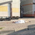 Труп 28-летнего парня нашли на Московском проспекте в Воронеже