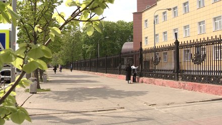 Проект сохранения исторической ограды Первомайского сада разработает воронежская компания