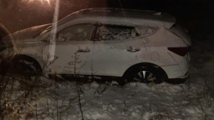 В Воронежской области водитель в метель вылетел в кювет: погибла пассажирка