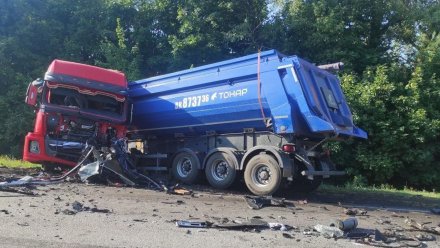 Водитель внедорожника погиб в ДТП с грузовиком в Воронежской области