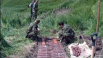 В Хохольском районе уничтожили почти 400 боеприпасов