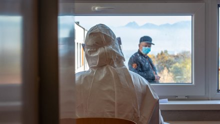 Суточный прирост заражённых коронавирусом воронежцев обновил минимум за полгода