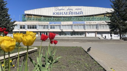 На ремонт ДС «Юбилейный» в Воронеже дополнительно направят 25 млн рублей