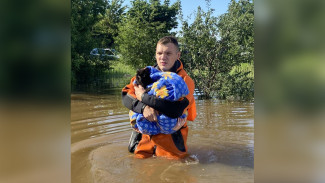 Воронежские спасатели эвакуировали кота из затопленного дома 