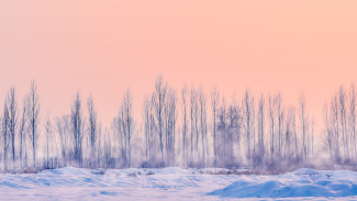 В Воронежскую область нагрянут 11-градусные морозы