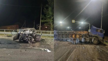 Легковушка влетела в козу на воронежской трассе: погиб пенсионер