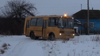 Воронежцам показали эвакуацию жителей таловского села перед взрывом снаряда