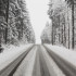 Воронежцев предупредили о метели на трассе М-4 «Дон» 19 февраля