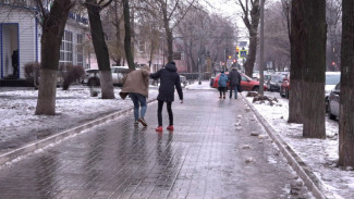 Воронежцы 44 раза пожаловались на скользкие дворы после ледяного дождя