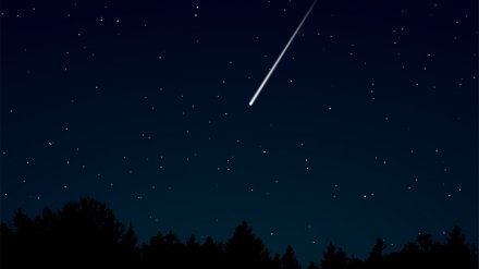 Синоптики оценили шансы воронежцев увидеть самый непредсказуемый звездопад осени