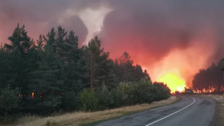 Причиной пожара площадью 150 га в Воронежской области могла стать искра с опоры ЛЭП