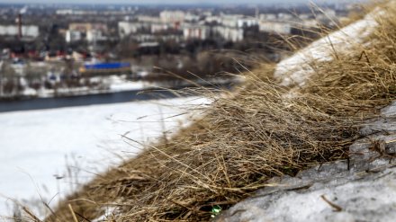 Спасатели предупредили жителей Воронежской области о непогоде
