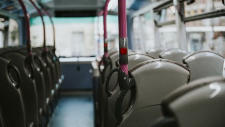 Появится ли в Воронеже бесплатный проезд для студентов-очников?