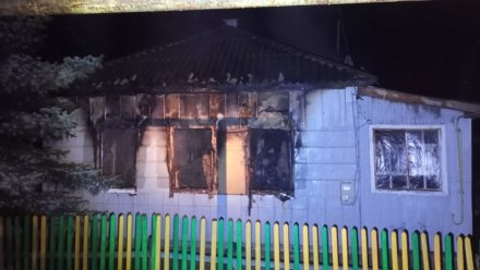 Во время пожара в воронежском селе пострадал 5-летний ребёнок