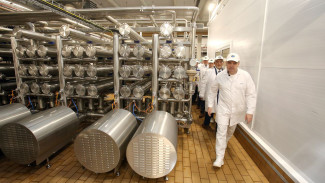 Египет расширяет импорт продуктов воронежского «Молвеста»