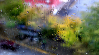 Небольшие дожди и грозы спрогнозировали воронежские синоптики на новой рабочей неделе