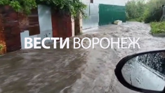 Многодетная семья отказалась комментировать спор о затопляемом участке на улице Связистов