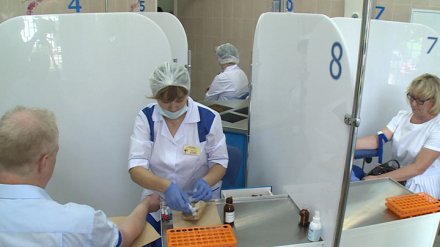 Воронежцам предложили бесплатно сдать анализ крови
