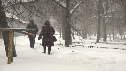 Прогноз погоды в Воронежской области на 11.01.2024