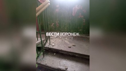 Воронежцы забили тревогу из-за разрушающегося аварийного дома на улице Торпедо