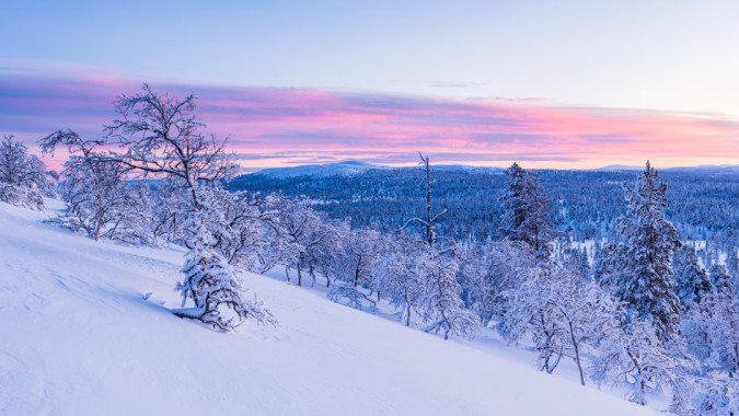 Синоптики рассказали, дойдёт ли до Воронежа московский снегопад