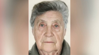 В Воронеже волонтёры начали поиски пропавшей 87-летней женщины