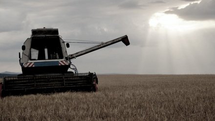 Под Воронежем комбайн задавил рабочего в поле