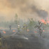 В пяти районах Воронежской области ввели высокий класс пожарной опасности 