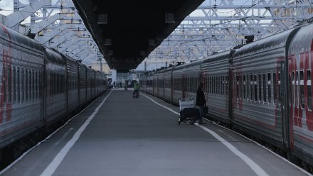 Супругов из Воронежа высадили из поезда из-за скандала в вагоне-ресторане