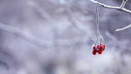 Воронежцам пообещали похолодание до -10 и снег на новой неделе