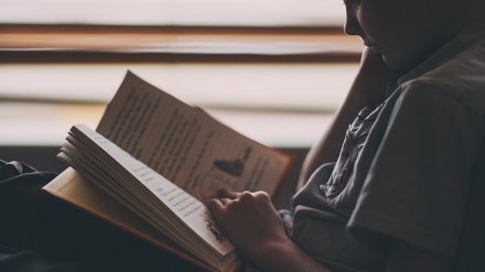 Никитинская библиотека попросила воронежцев к Новому году подарить сиротам книги