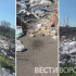 Жители совхоза Воронежский пожаловались на кишащую крысами мусорку