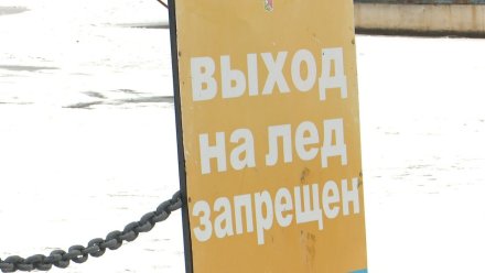 Воронежцам напомнили правила безопасности на льду