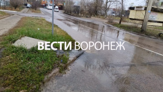 «Окна не открыть из-за вони». В воронежском микрорайоне появилась фекальная река