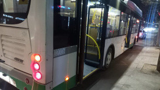 В Воронеже закупят 320 новых автобусов до конца года