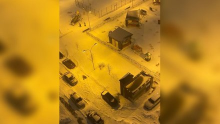 Жильцы воронежского ЖК решили массово выйти на уборку снега