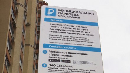 Воронежские антимонопольщики вызвали концессионера платных парковок на ковёр