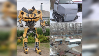 Трансформер Бамблби, снос «Доры», самодельный внедорожник. Что удивило воронежцев в 2025-м