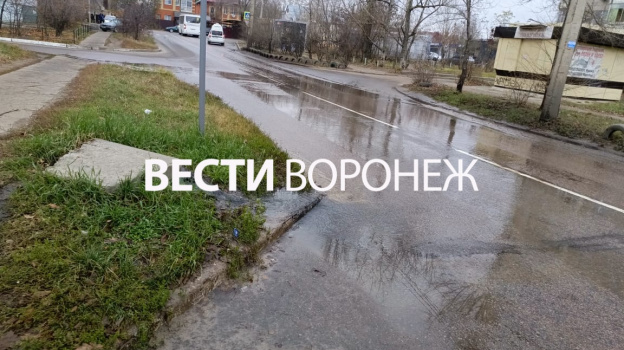 «Окна не открыть из-за вони». В воронежском микрорайоне появилась фекальная река