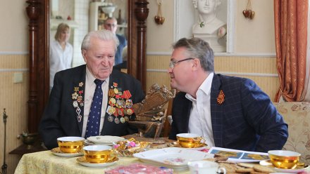 Мэр Воронежа поздравил ветерана с приближающимся Днём Победы