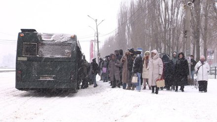 В Воронеже 40-минутное ожидание автобусов на Машмете объяснили снегом и болезнью водителей