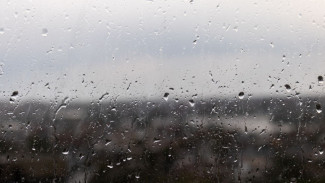 Синоптики спрогнозировали дожди 1 апреля в Воронеже